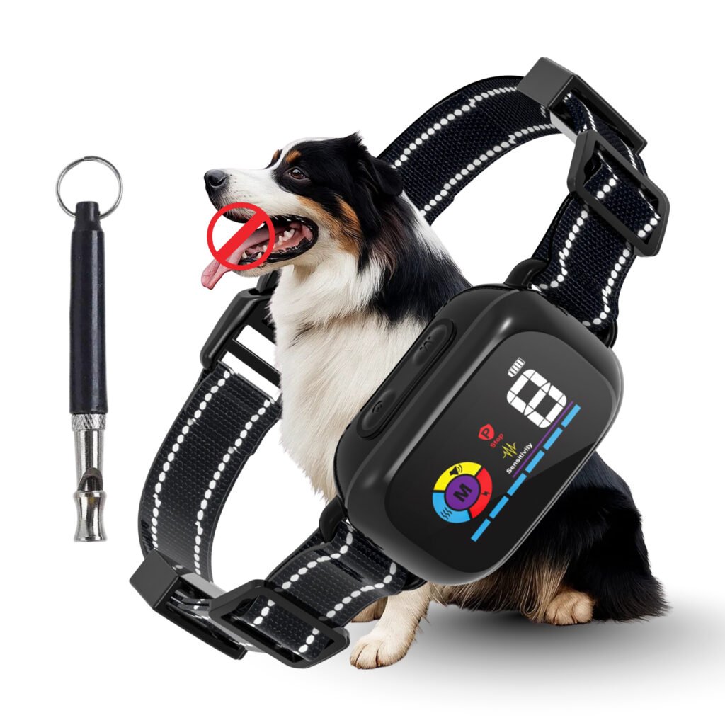 Dog wearing Smart Bark Collar with Dog Training Whistle – Waterproof and Rechargeable Humane No-Bark Device
